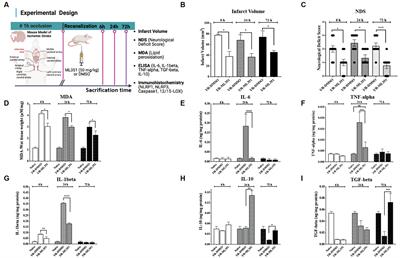 12/15-lipoxygenase inhibition attenuates neuroinflammation by suppressing inflammasomes